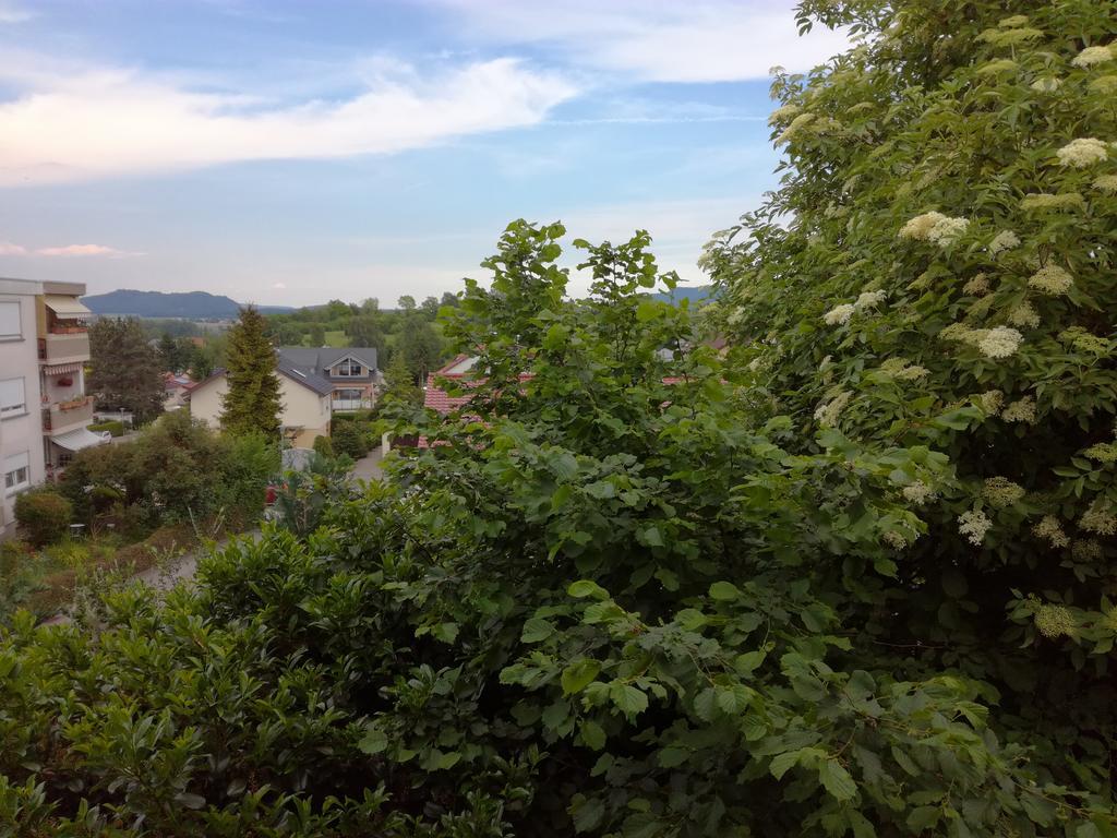Alte Schreinerei-Auberge Harlekin Randegg Exterior foto